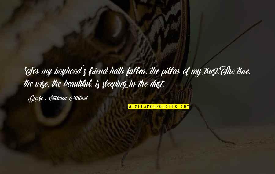 Sleeping Is My Best Friend Quotes By George Stillman Hillard: For my boyhood's friend hath fallen, the pillar