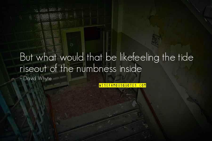 Sleepover Quote Quotes By David Whyte: But what would that be likefeeling the tide