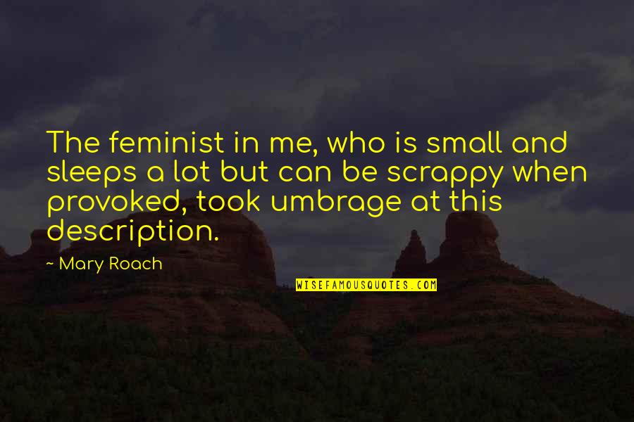 Sleeps Quotes By Mary Roach: The feminist in me, who is small and Sleeps Quotes By Mary Roach: The feminist in me, who is small and