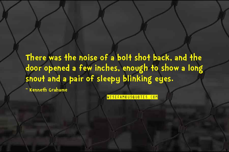 Sleepy Eyes Quotes By Kenneth Grahame: There was the noise of a bolt shot