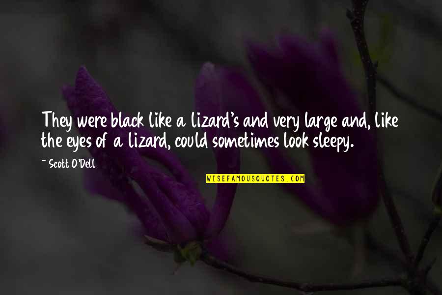 Sleepy Eyes Quotes By Scott O'Dell: They were black like a lizard's and very