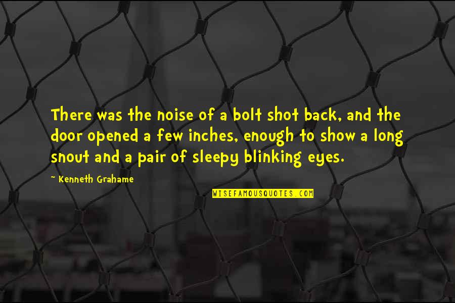Sleepy's Quotes By Kenneth Grahame: There was the noise of a bolt shot