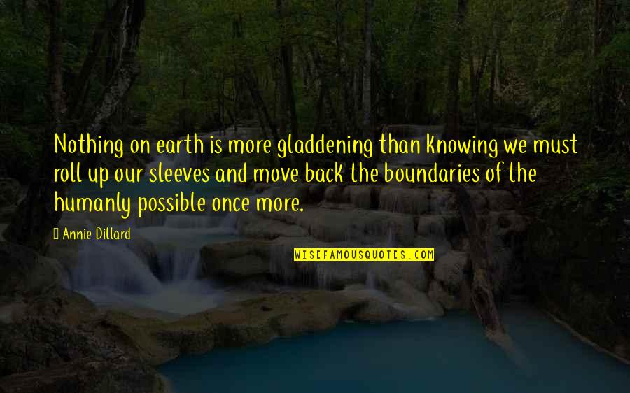 Sleeves Quotes By Annie Dillard: Nothing on earth is more gladdening than knowing