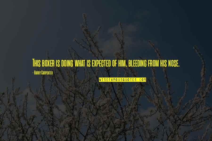 Sleezy D Quotes By Harry Carpenter: This boxer is doing what is expected of Sleezy D Quotes By Harry Carpenter: This boxer is doing what is expected of