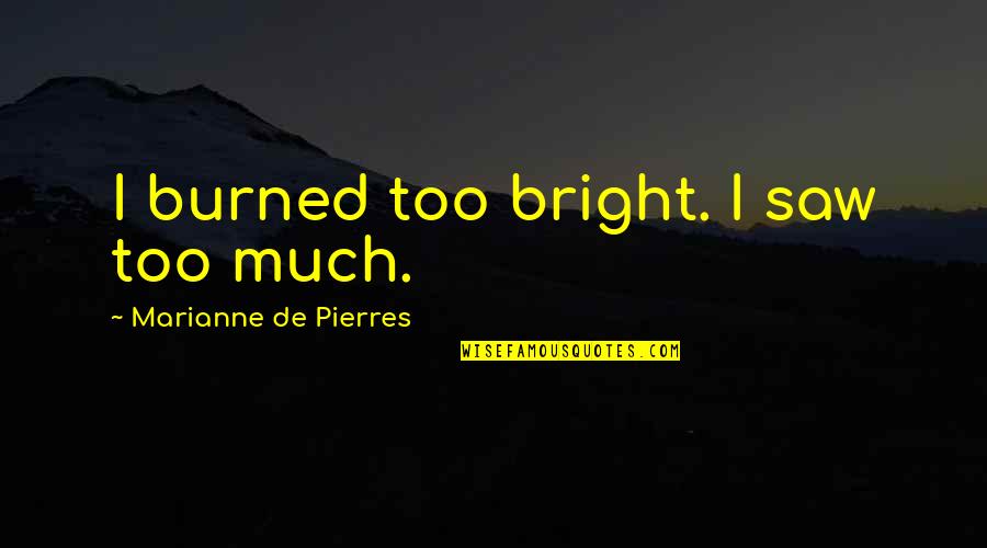 Sleezy D Quotes By Marianne De Pierres: I burned too bright. I saw too much. Sleezy D Quotes By Marianne De Pierres: I burned too bright. I saw too much.