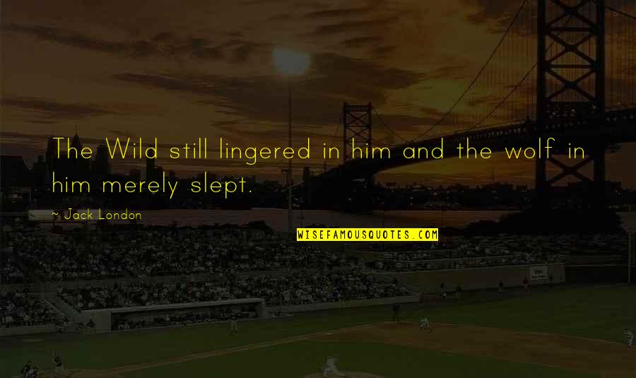 Slept Off Quotes By Jack London: The Wild still lingered in him and the