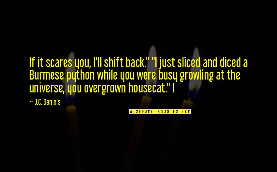 Sliced Quotes By J.C. Daniels: If it scares you, I'll shift back." "I