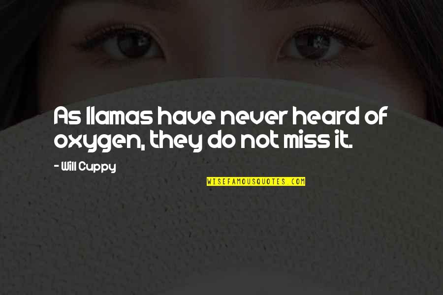 Slick Man Quotes By Will Cuppy: As llamas have never heard of oxygen, they