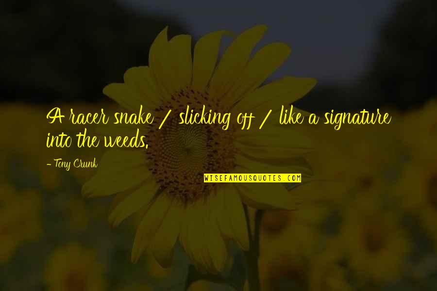Slicking Quotes By Tony Crunk: A racer snake / slicking off / like