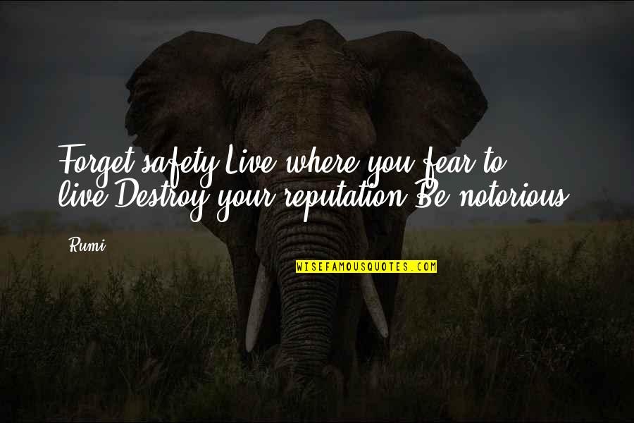Slideshow Sayings Quotes By Rumi: Forget safety.Live where you fear to live.Destroy your