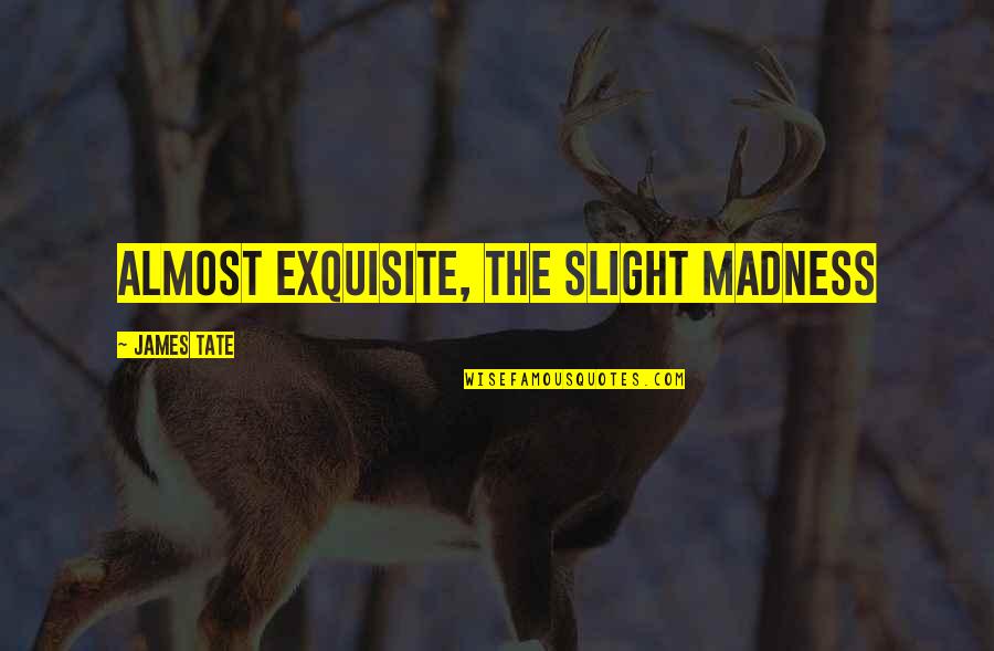 Slight Quotes By James Tate: almost exquisite, the slight madness