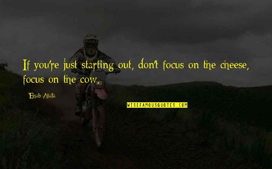 Slightly Wrong Quotes By Ehab Atalla: If you're just starting out, don't focus on