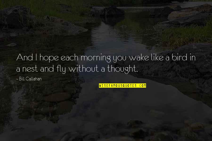Slim And Curley Quotes By Bill Callahan: And I hope each morning you wake like