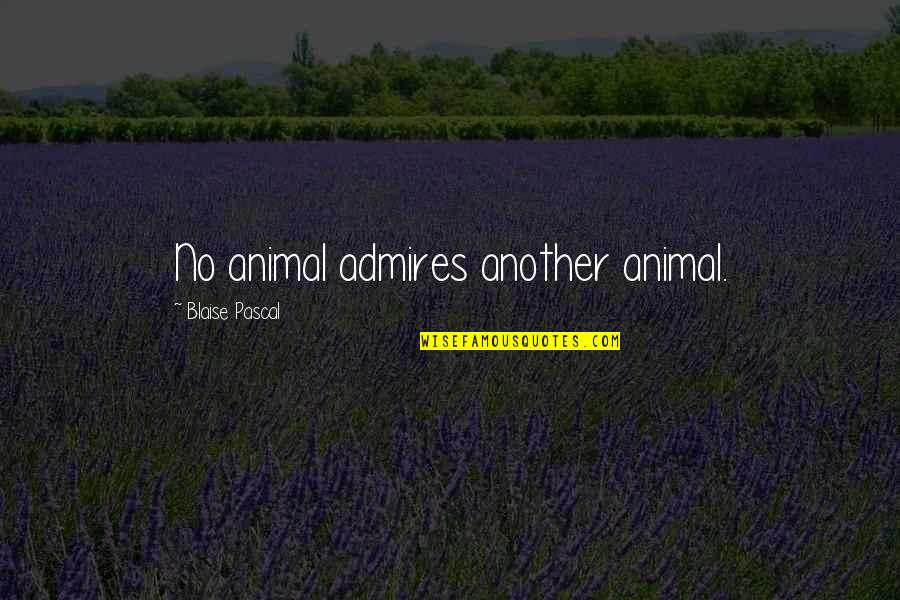 Slim Chapter 2 Quotes By Blaise Pascal: No animal admires another animal.