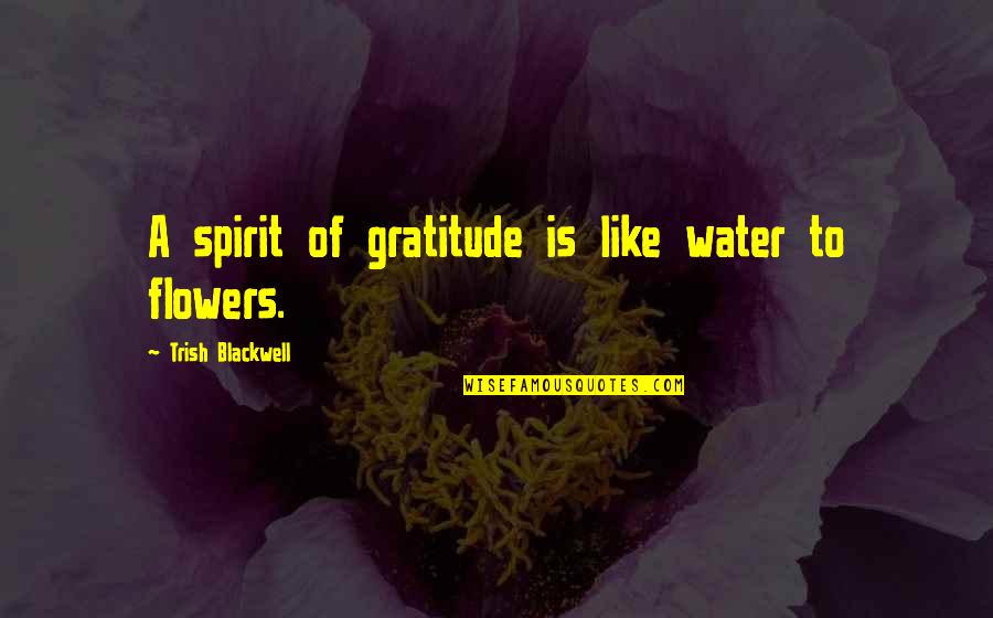 Slimmer Quotes By Trish Blackwell: A spirit of gratitude is like water to