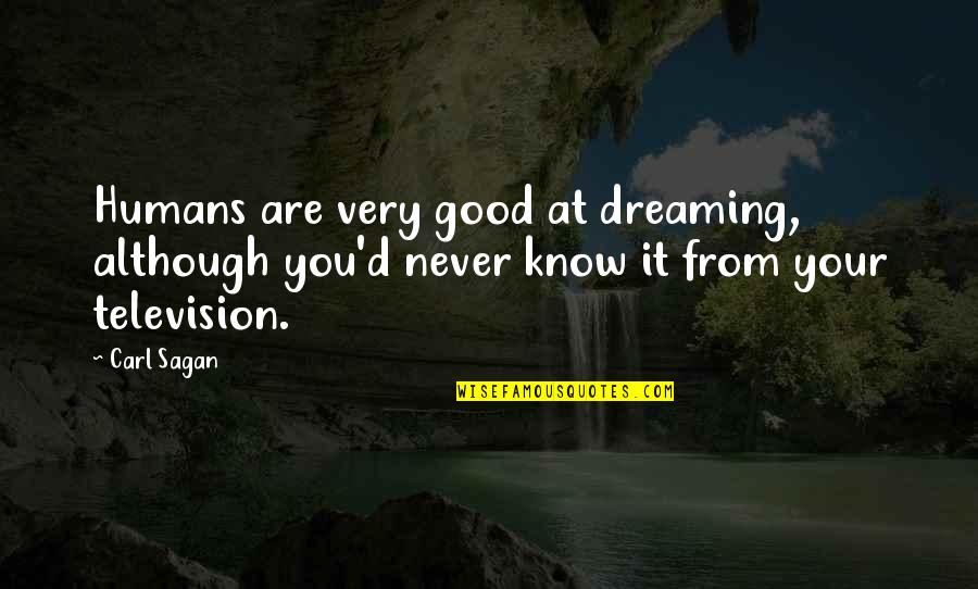 Slimmest Quotes By Carl Sagan: Humans are very good at dreaming, although you'd