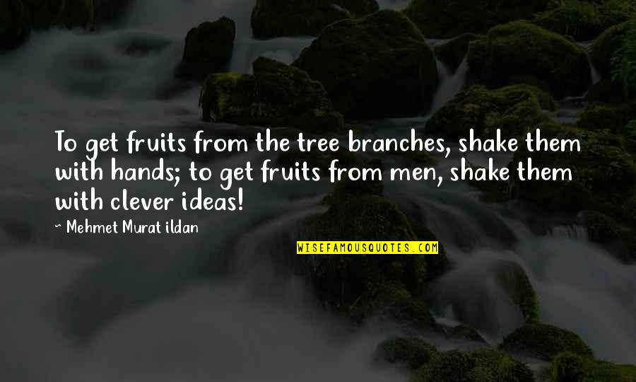 Slinked Or Slunk Quotes By Mehmet Murat Ildan: To get fruits from the tree branches, shake