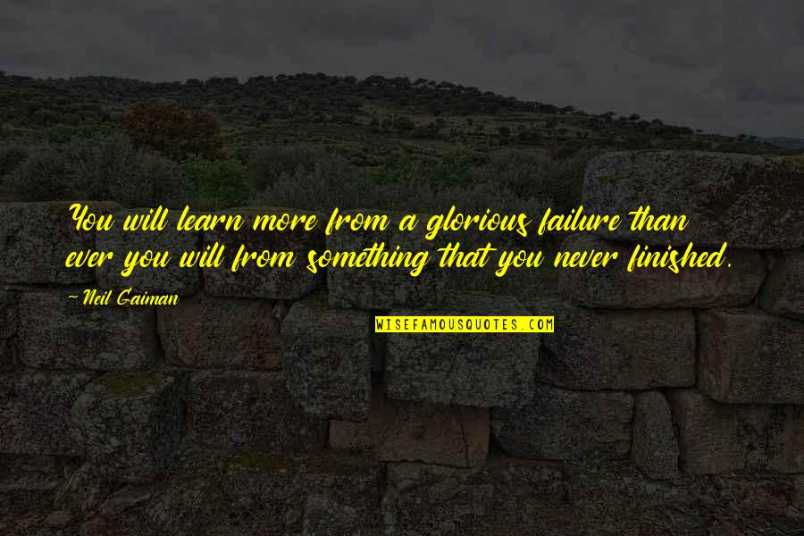Slinkster Quotes By Neil Gaiman: You will learn more from a glorious failure