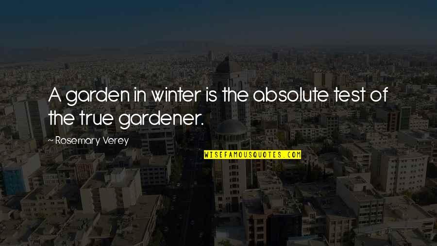 Sliotars Quotes By Rosemary Verey: A garden in winter is the absolute test