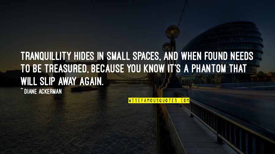 Slip Away Quotes By Diane Ackerman: Tranquillity hides in small spaces, and when found