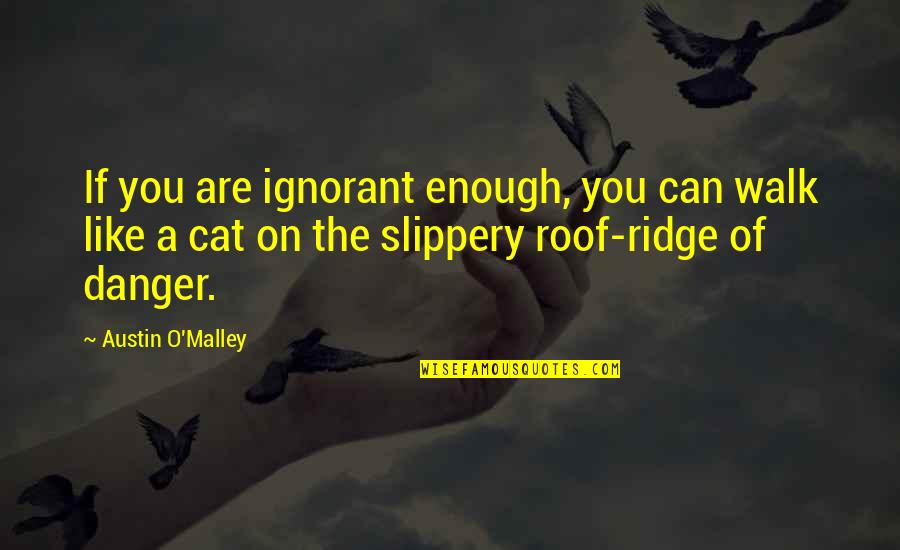 Slippery Quotes By Austin O'Malley: If you are ignorant enough, you can walk