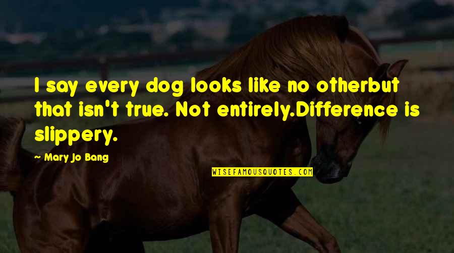 Slippery Quotes By Mary Jo Bang: I say every dog looks like no otherbut