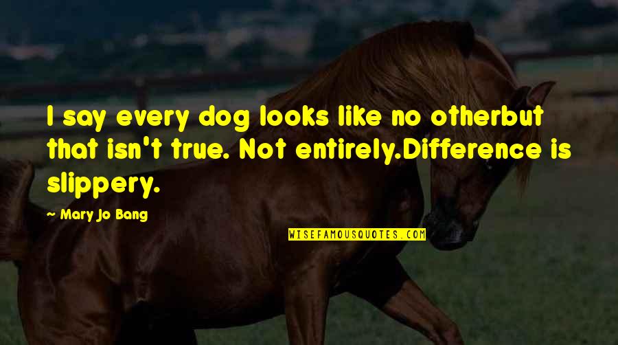 Slippery Quotes By Mary Jo Bang: I say every dog looks like no otherbut Slippery Quotes By Mary Jo Bang: I say every dog looks like no otherbut