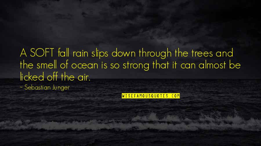 Slips Quotes By Sebastian Junger: A SOFT fall rain slips down through the