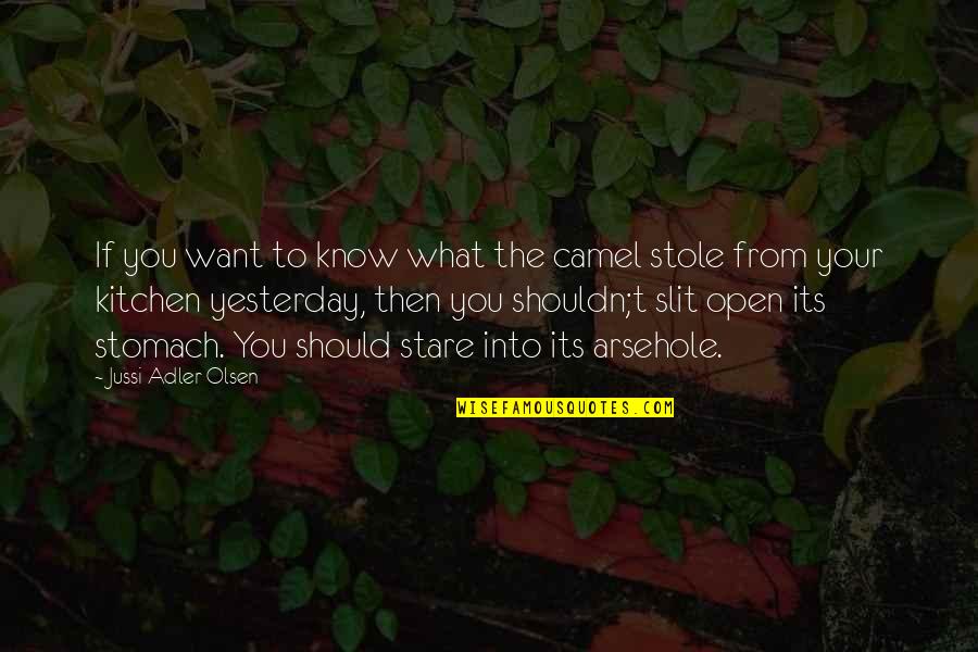 Slit Quotes By Jussi Adler-Olsen: If you want to know what the camel