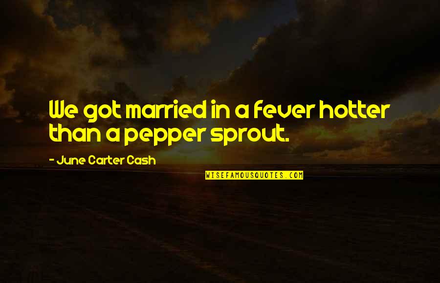 Sliwowski Donna Quotes By June Carter Cash: We got married in a fever hotter than