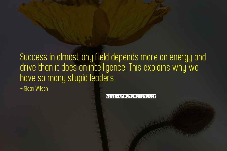 Sloan Wilson quotes: Success in almost any field depends more on energy and drive than it does on intelligence. This explains why we have so many stupid leaders.