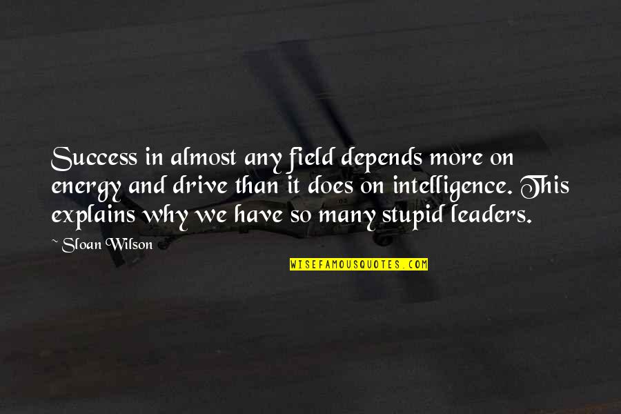 Sloan Wilson Quotes By Sloan Wilson: Success in almost any field depends more on