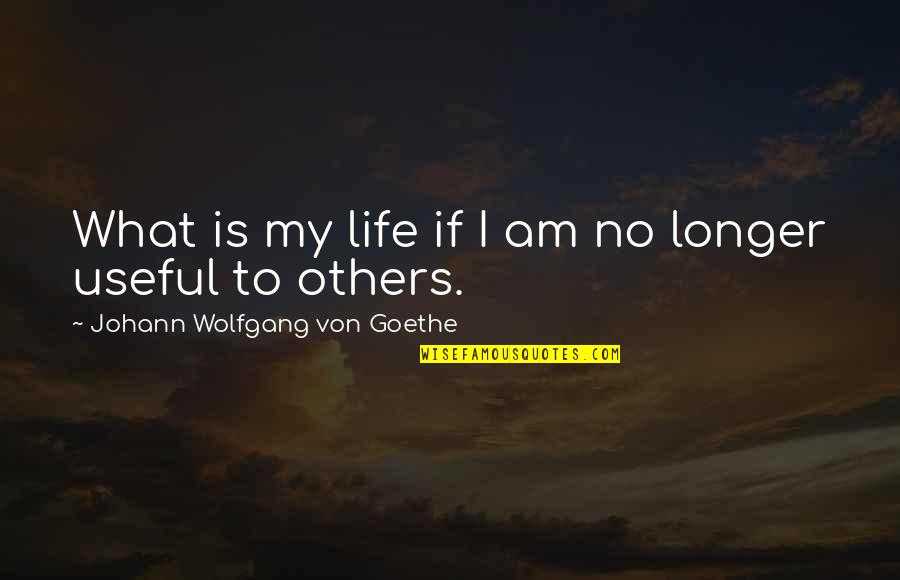 Sloeblack Quotes By Johann Wolfgang Von Goethe: What is my life if I am no