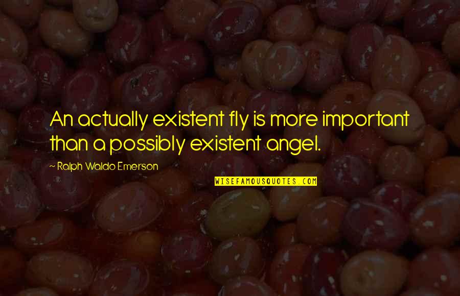 Slopping Quotes By Ralph Waldo Emerson: An actually existent fly is more important than