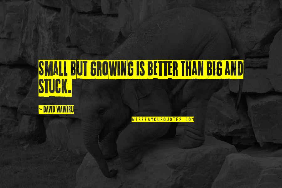 Sloshable Quotes By David Waweru: Small but growing is better than big and