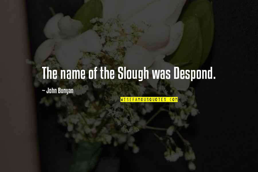 Slough Quotes By John Bunyan: The name of the Slough was Despond.