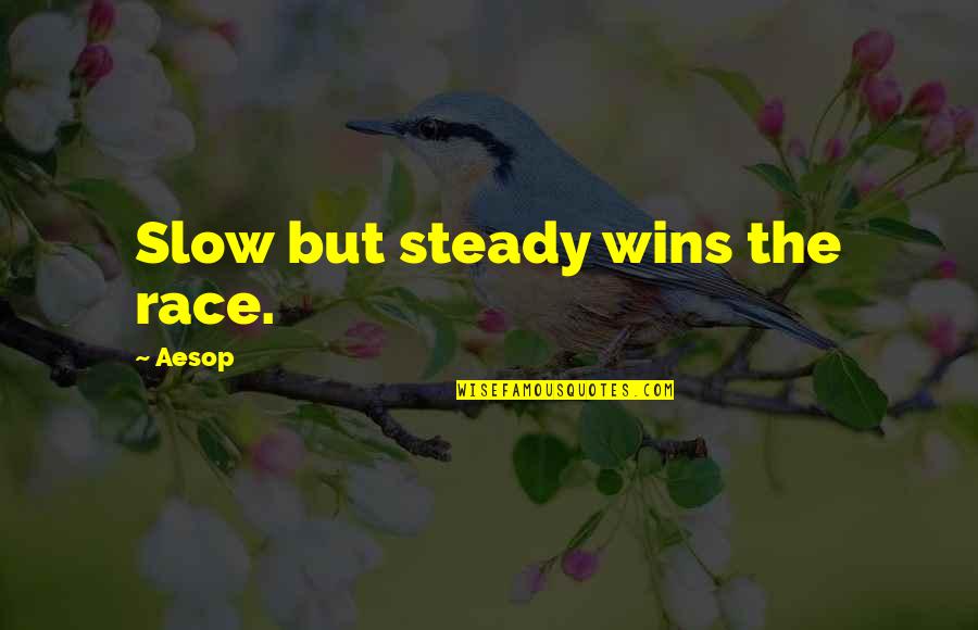 Slow And Steady Wins Quotes By Aesop: Slow but steady wins the race.