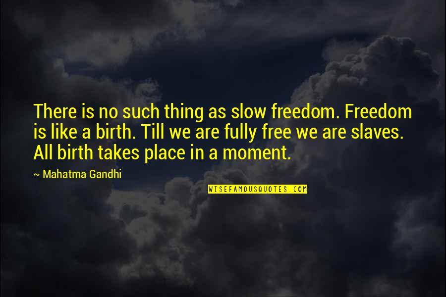 Slow As Quotes By Mahatma Gandhi: There is no such thing as slow freedom.