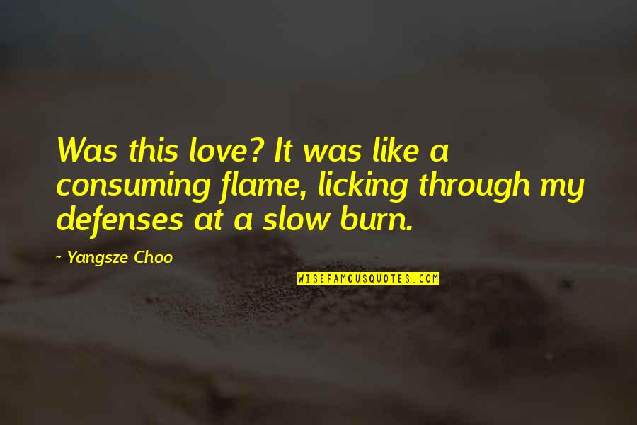Slow Burn Love Quotes By Yangsze Choo: Was this love? It was like a consuming