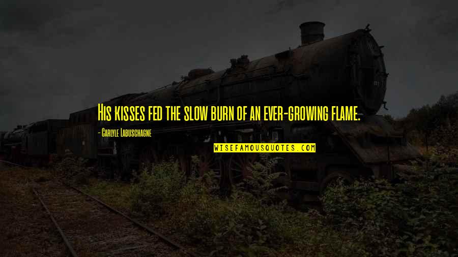 Slow Burn Quotes By Carlyle Labuschagne: His kisses fed the slow burn of an