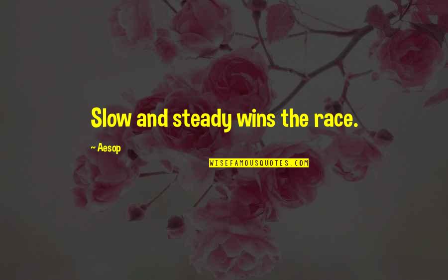Slow But Steady Quotes By Aesop: Slow and steady wins the race.