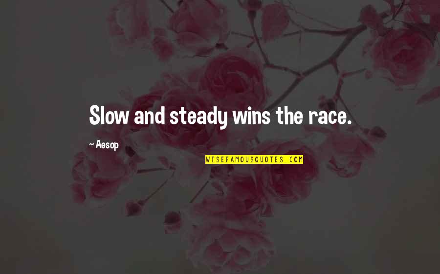 Slow But Steady Wins The Race Quotes By Aesop: Slow and steady wins the race.