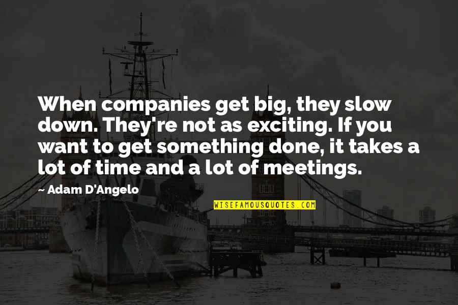 Slow Time Quotes By Adam D'Angelo: When companies get big, they slow down. They're