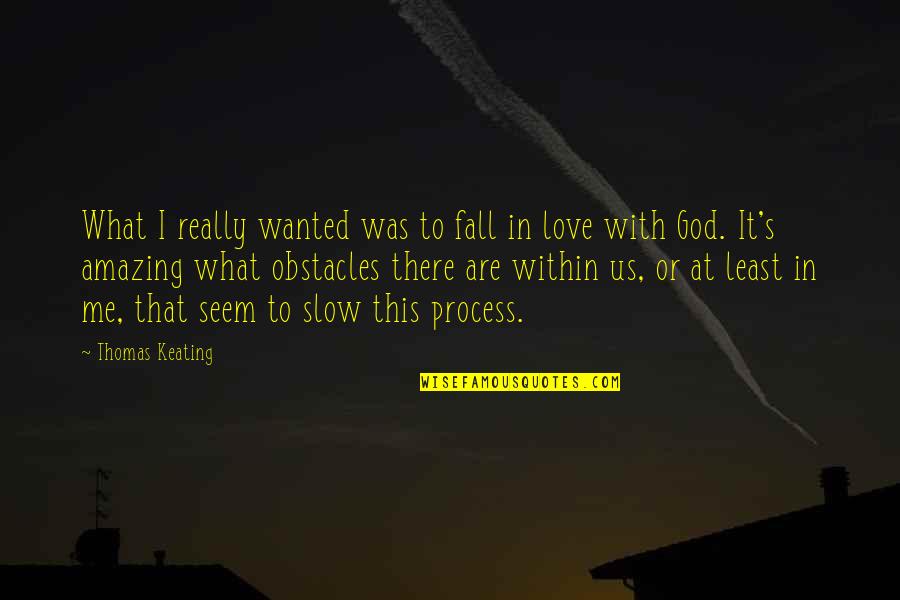 Slow To Love Quotes By Thomas Keating: What I really wanted was to fall in Slow To Love Quotes By Thomas Keating: What I really wanted was to fall in