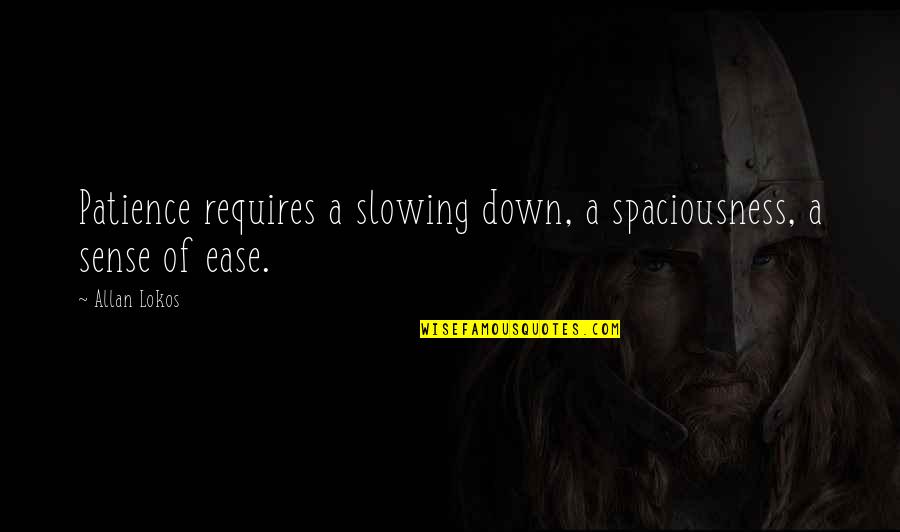 Slowing Down Quotes By Allan Lokos: Patience requires a slowing down, a spaciousness, a