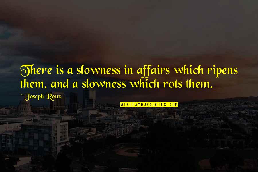 Slowness Quotes By Joseph Roux: There is a slowness in affairs which ripens