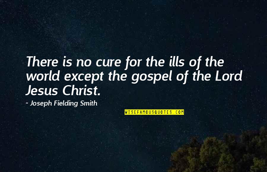 Slugfests Quotes By Joseph Fielding Smith: There is no cure for the ills of