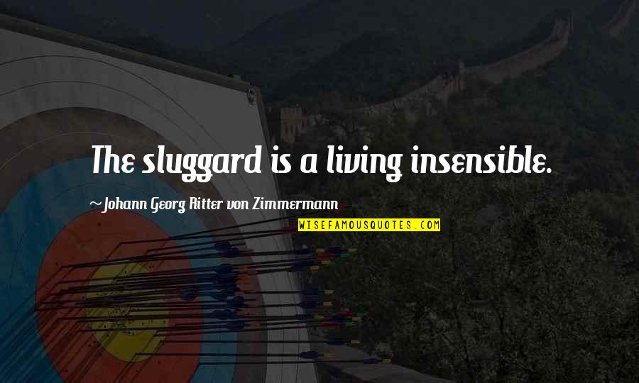 Sluggard Quotes By Johann Georg Ritter Von Zimmermann: The sluggard is a living insensible.