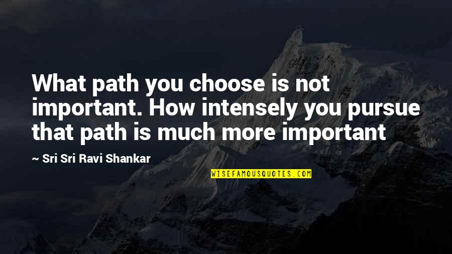 Slugging Quotes By Sri Sri Ravi Shankar: What path you choose is not important. How