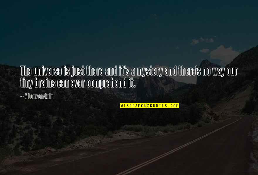 Sluggish Liver Quotes By A Loewenstein: The universe is just there and it's a